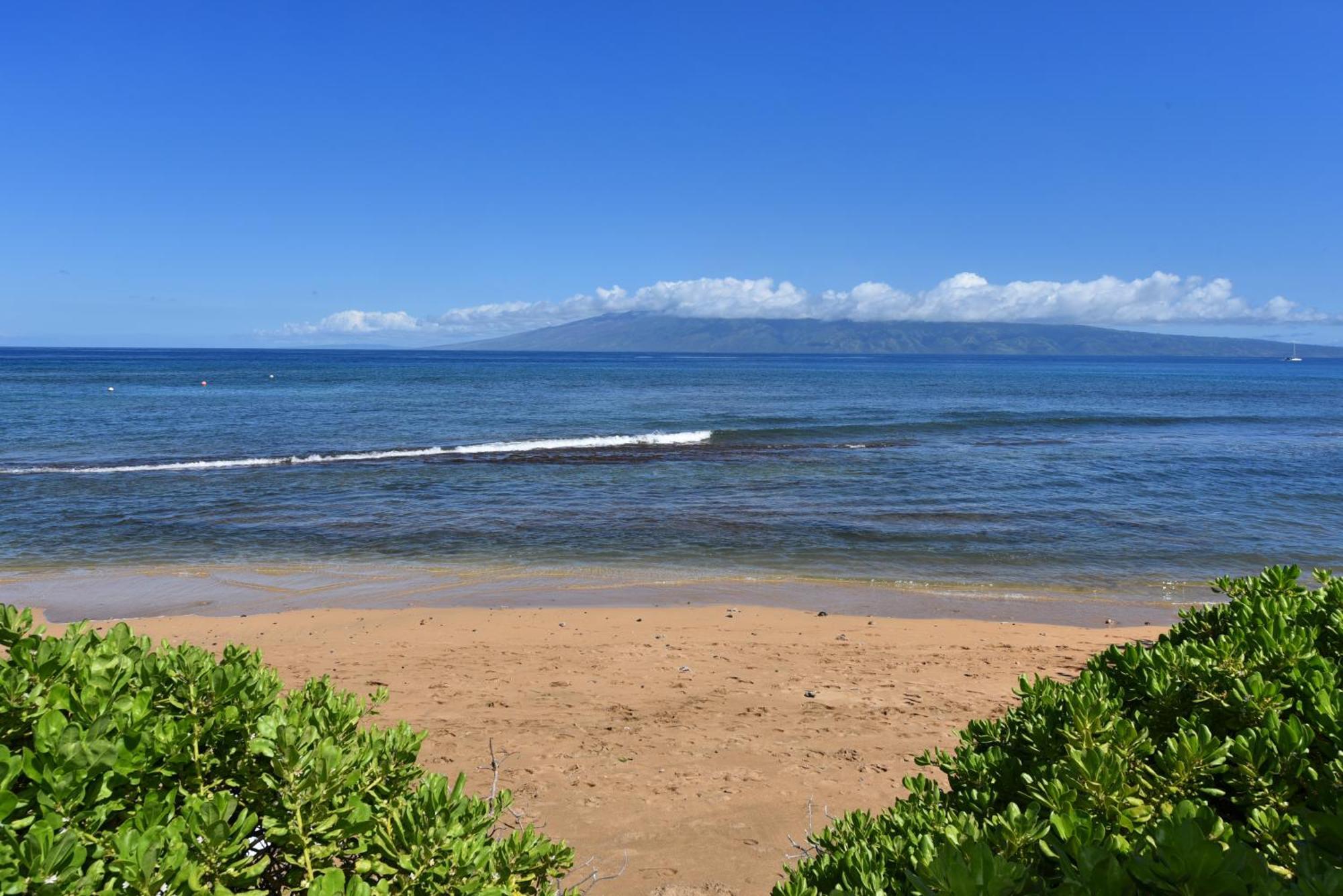 Kaanapali Shores 160 - Sleep Steps Away From The Ocean Kahana Екстериор снимка